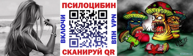 Купить где  Кировск  Псилоцибиновые грибы MAGIC MUSHROOMS 